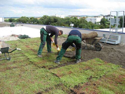 BTM Optigreen Bitki Örtüsü